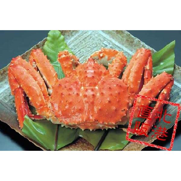送料無料〕〔ジャンボサイズ〕冷凍ボイルタラバガニ姿3.6kg前後〔K 