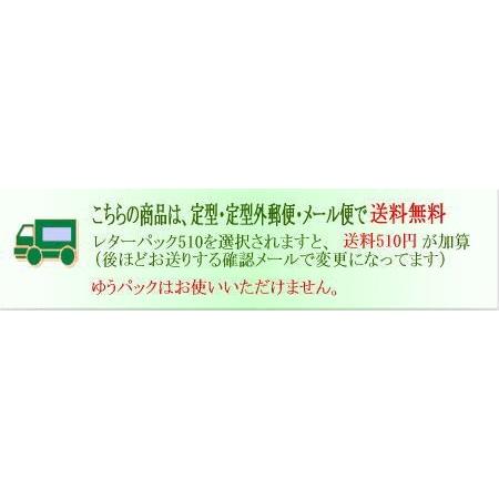 ボールチェーン20本/全長11cm玉2.4mm/革タグ/名札/チャーム : 雑貨の