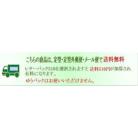 5cmトイプードル5枚無地/本ヌメ革タグでオリジナル名札・チャーム |  | 03
