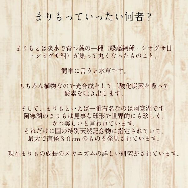養殖マリモ5個とまりものお食事5個とミネラル鉱石5個のまりも育成