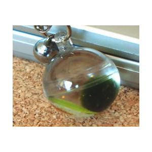 まりも　マリモの　ぴりも　ストラップ まりも マリモの ぴりも ストラップ まりも マリモの ぴりも