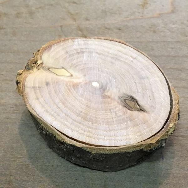 置物用 丸太台 皮付き【直径約3〜5センチ サイズ】 国産 北海道産