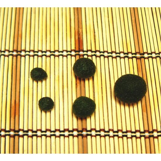 養殖まりも5個入り ミネラル鉱石入り ガラス瓶 コルク マリモ 毬藻  