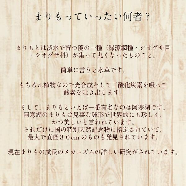 養殖まりも3個とまりものお食事1個セット ガラス瓶 コルク まりもの育て方の説明付き 水草 植物 北海道お土産 アクアリウム 販売 通販 雑貨小物｜kitagunikiriri｜04