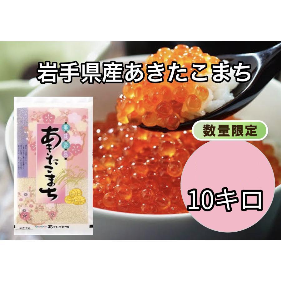 あきたこまち 令和6年産(白米)岩手県産あきたこまち 10kg お米 あきたこまち 令和6年産(白米)岩手県産あきたこまち 10kg お米