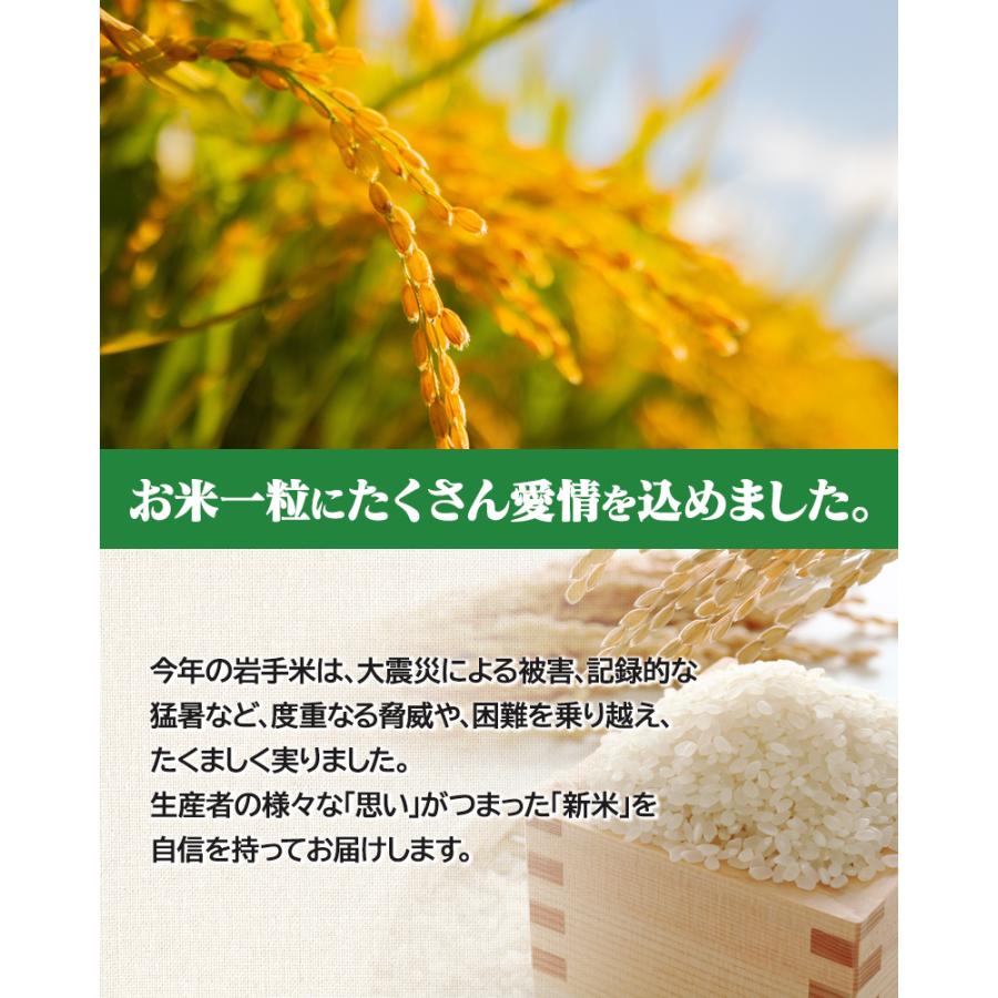 あきたこまち 令和6年産(白米)岩手県産あきたこまち 10kg お米 あきたこまち 令和6年産(白米)岩手県産あきたこまち 10kg お米