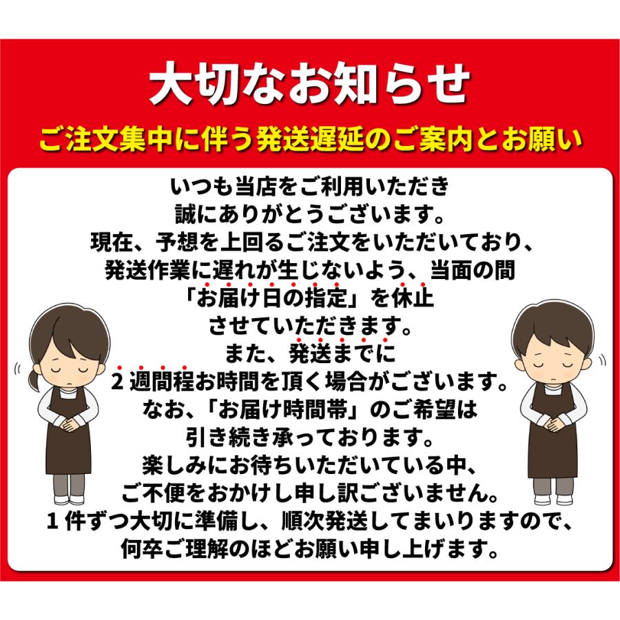 あきたこまち 令和7年産 岩手県産あきたこまち 10kg お米 白米 米 精米