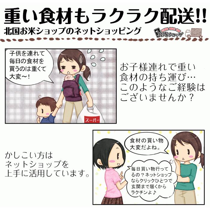 新米 令和5年産 あきたこまち 10kg お米 白米 精米 国産 岩手県産 送料無料｜kitaguniokome｜08