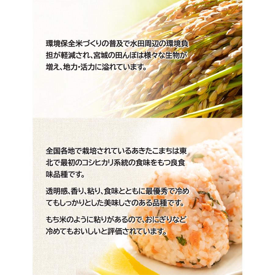 あきたこまち 令和6年産(白米)岩手県産あきたこまち 2kg お米 あきたこまち 令和6年産(白米)岩手県産あきたこまち 2kg お米
