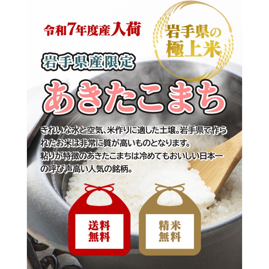 あきたこまち 令和7年産 岩手県産あきたこまち 5kg 即日発送！お米