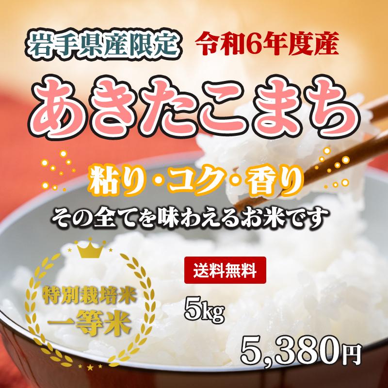 あきたこまち 令和6年産(白米)岩手県産あきたこまち 5kg お米 あきたこまち 令和6年産(白米)岩手県産あきたこまち 5kg お米