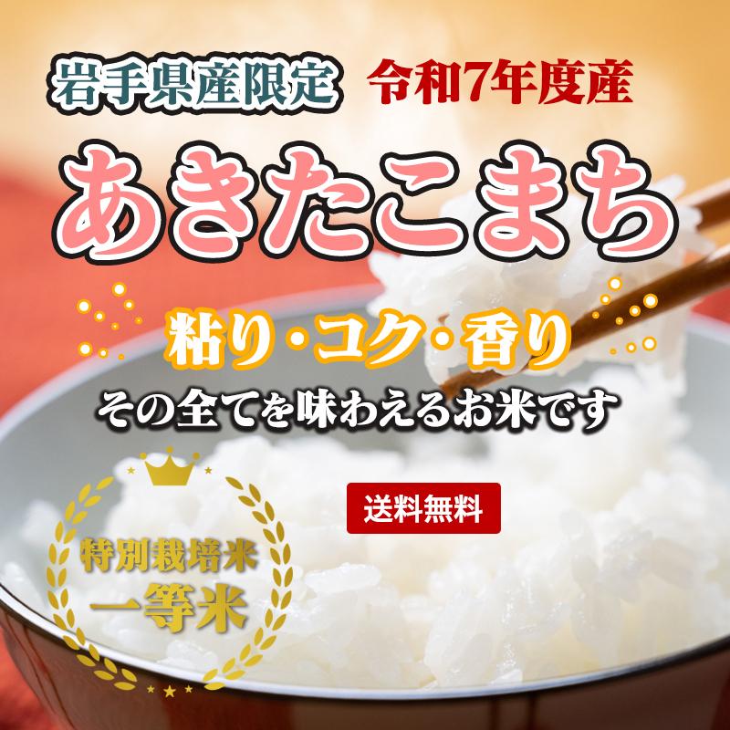 あきたこまち 令和7年産 岩手県産あきたこまち 5kg お米 白米 米 精米