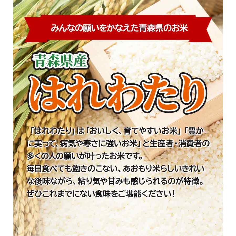 令和6年産 青森県産 はれわたり 20kg おこめ お米 玄米 紙袋 送料無料