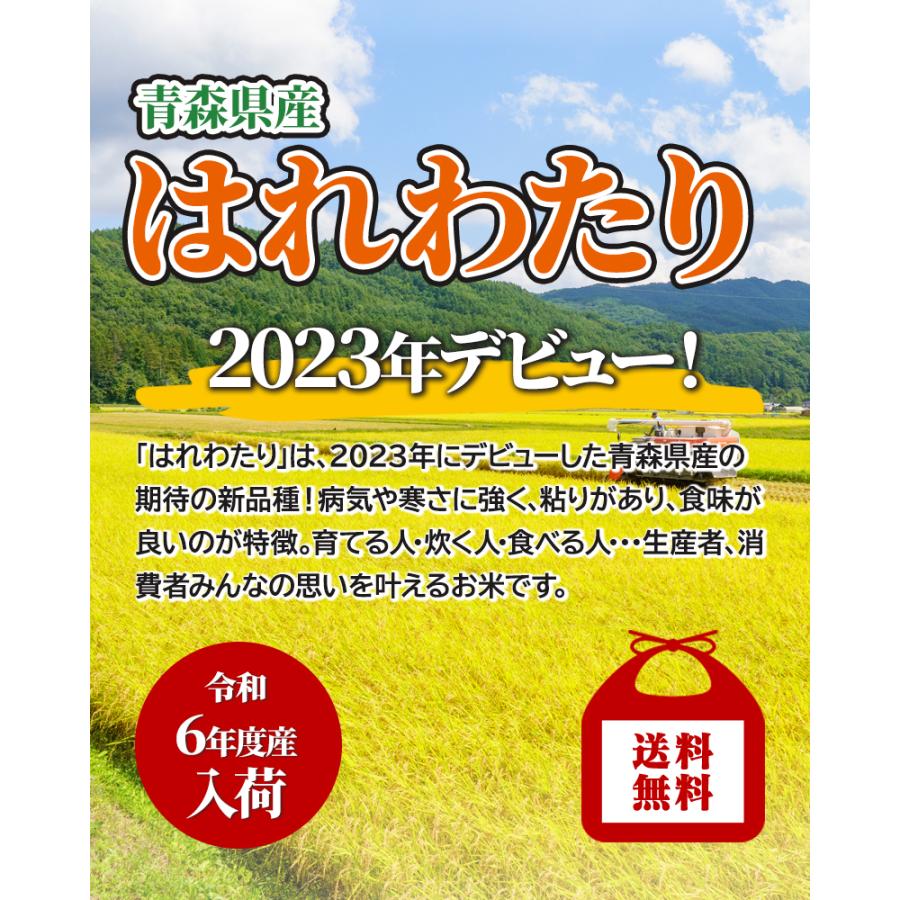 令和6年産 青森県産 はれわたり 20kg おこめ お米 玄米 紙袋 送料無料