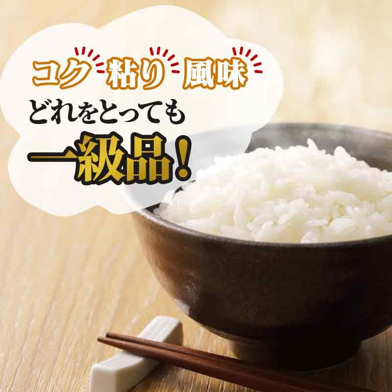 玄米 令和6年産 青森県産 はれわたり 20kg おこめ お米 紙袋 送料無料