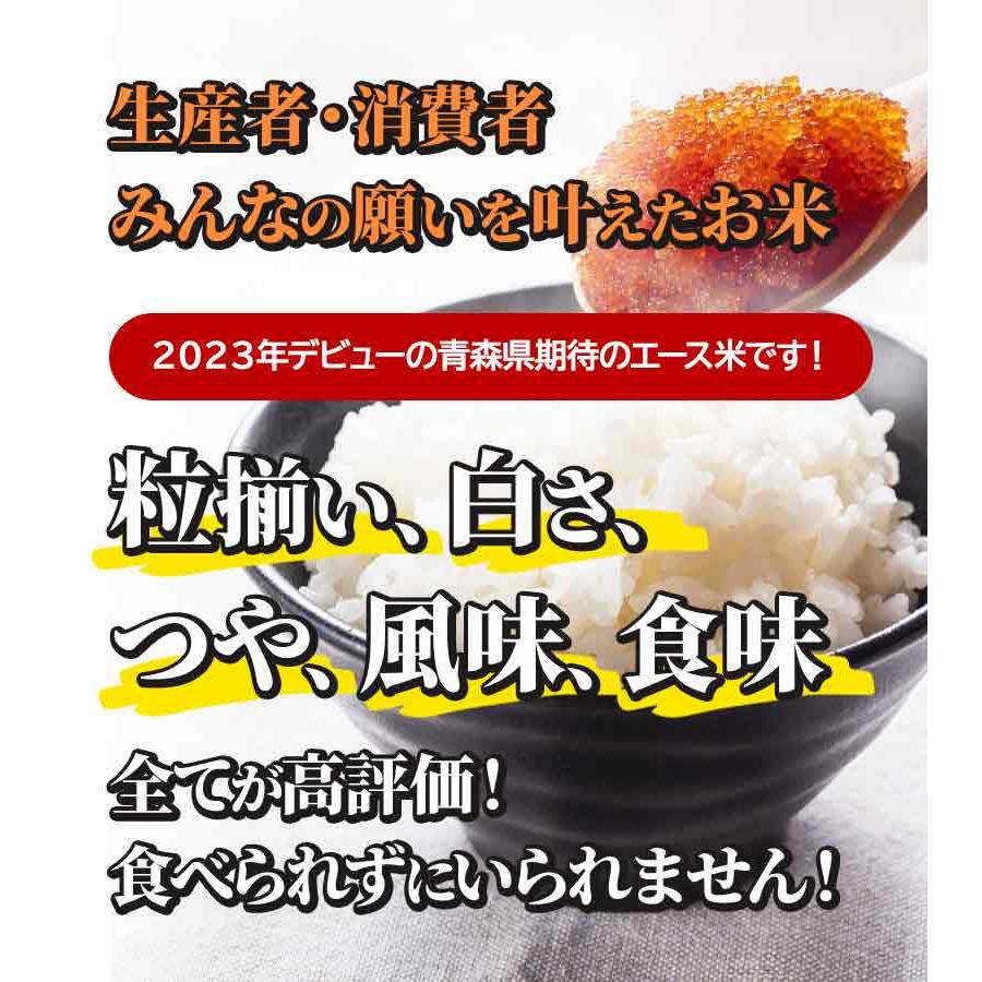青森県産はれわたり玄米20キロ 玄米 令和6年産 青森県産 はれわたり 20kg おこめ お米 紙袋 送料無料