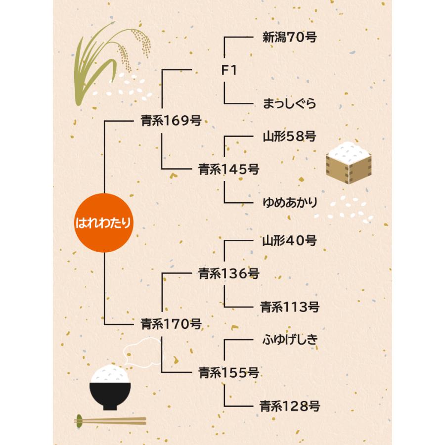 令和7年産 特A米（白米）青森県産 はれわたり 10kg お米 精米 送料無料の画像