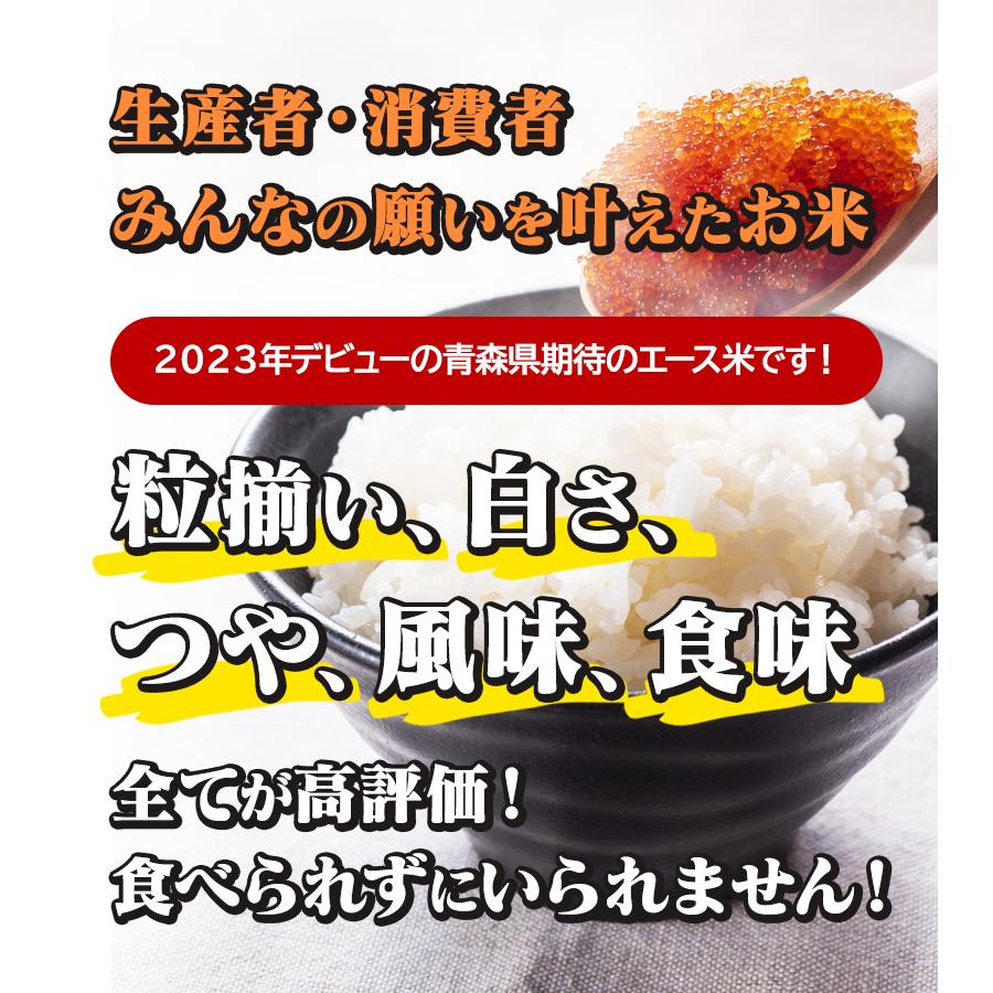 令和7年産（白米）青森県産 はれわたり 10kg お米 精米 送料無料