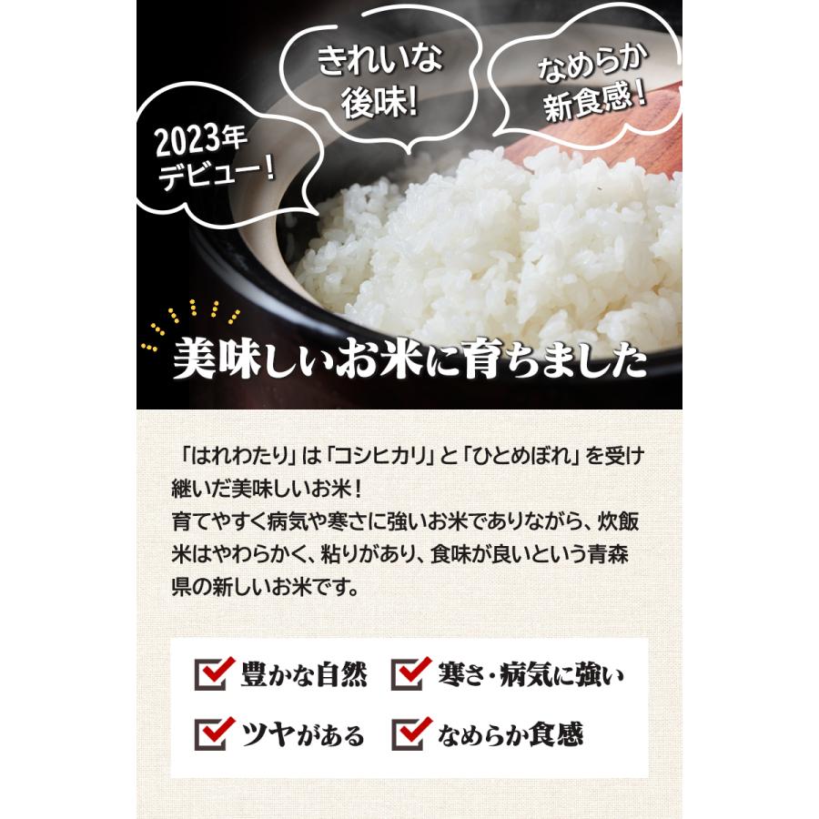 新米！令和7年産（白米）青森県産はれわたり 10kg お米 精米 送料無料
