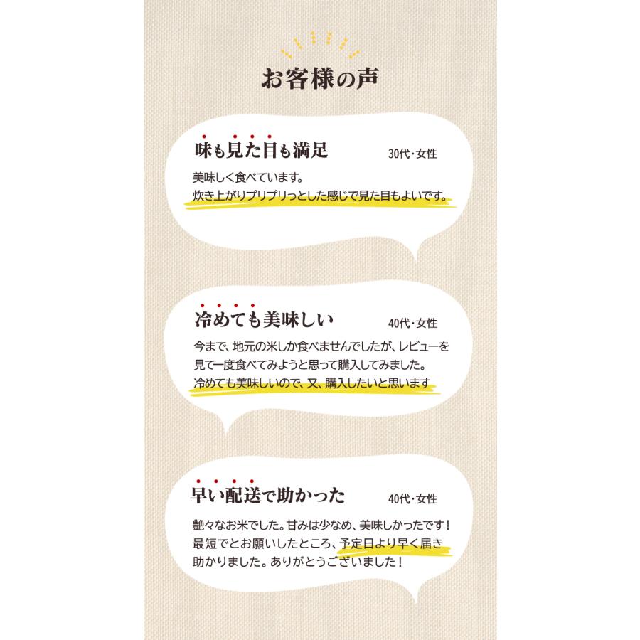 令和7年産 特A米（白米）青森県産 はれわたり 10kg お米 精米 送料無料