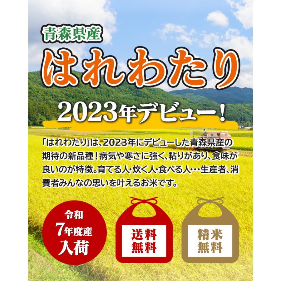 新米！令和7年産（白米）青森県産はれわたり 10kg お米 精米 送料無料