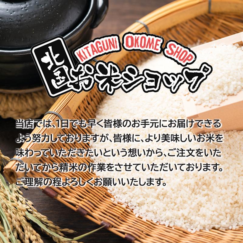 令和7年産 特A米（白米）青森県産 はれわたり 10kg お米 精米 送料無料