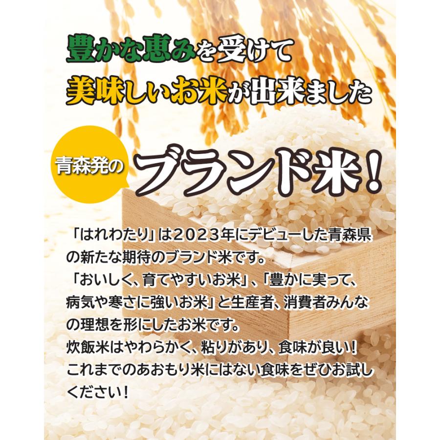 令和7年産 特A米（白米）青森県産 はれわたり 10kg お米 精米 送料無料