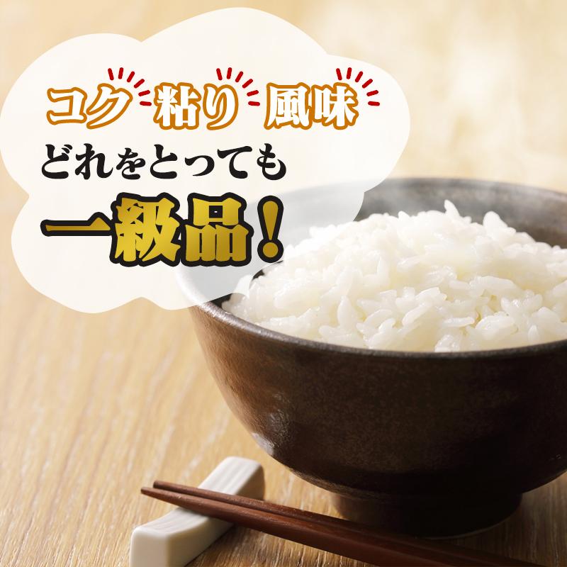 令和7年産 特A米（白米）青森県産 はれわたり 10kg お米 精米 送料無料