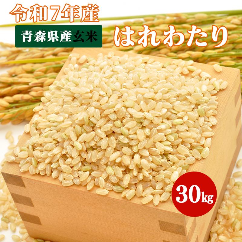 ☆ 令和7年 青森県産 はれわたり 玄米〈30kg〉 はれわたり