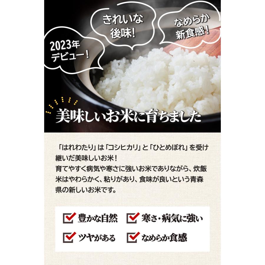 玄米 令和7年産 青森県産 はれわたり 30kg おこめ お米 紙袋 送料無料