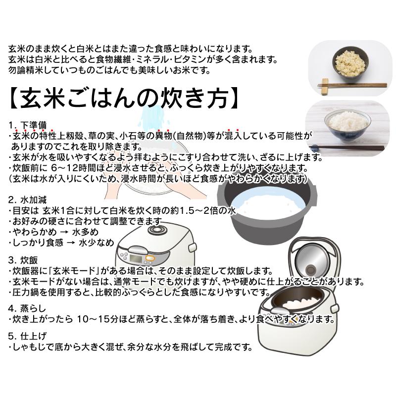 玄米 令和7年産 青森県産 はれわたり 30kg おこめ お米 紙袋 送料無料