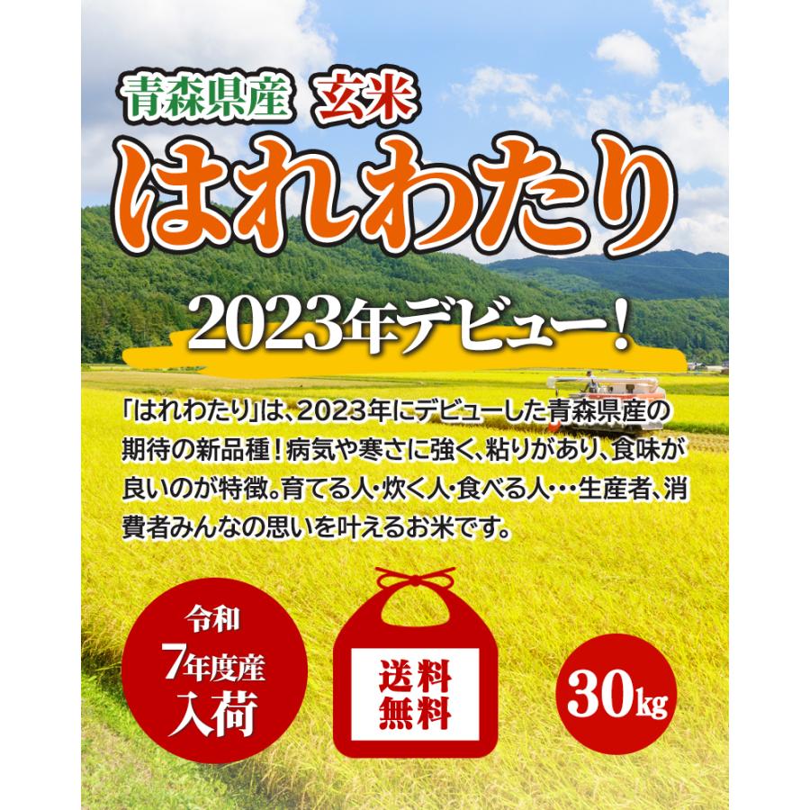 玄米 令和7年産 青森県産 はれわたり 30kg おこめ お米 紙袋 送料無料