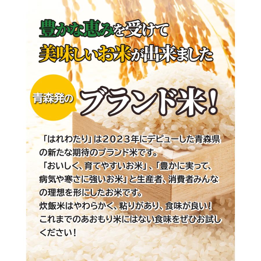 玄米 令和7年産 青森県産 はれわたり 30kg おこめ お米 紙袋 送料無料