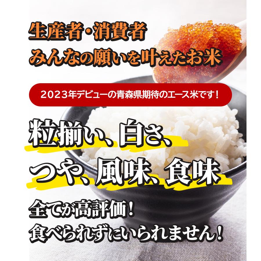 玄米 令和7年産 青森県産 はれわたり 30kg おこめ お米 紙袋 送料無料