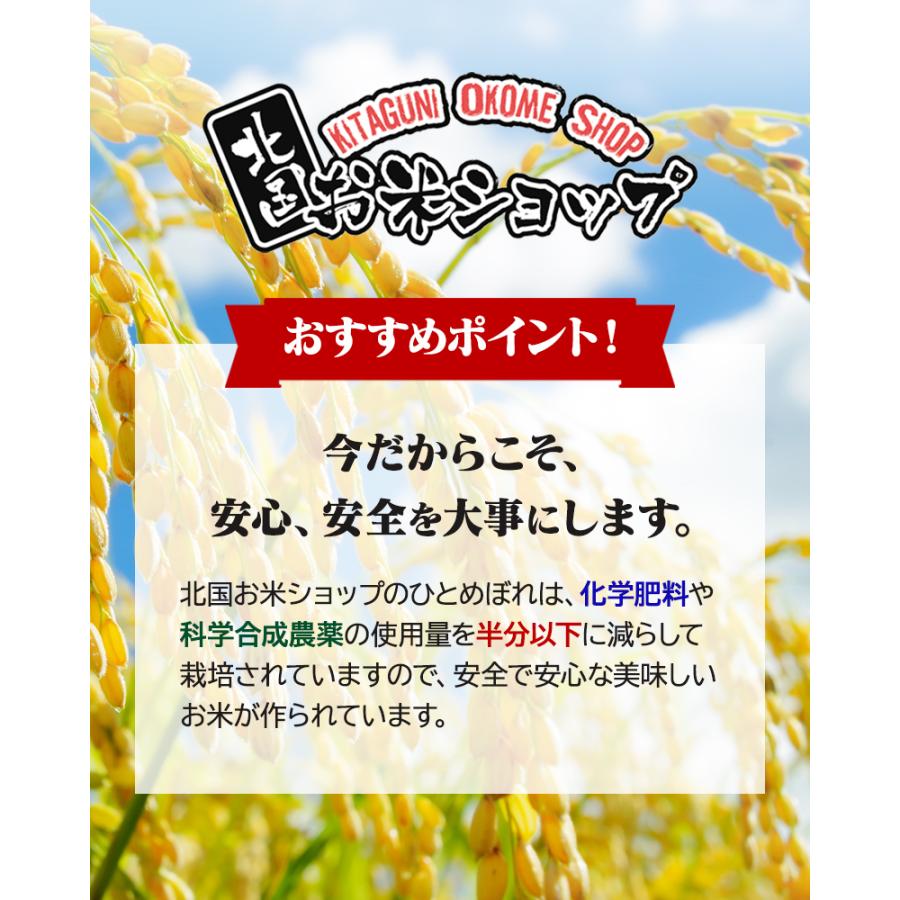 ひとめぼれ 令和7年産 岩手県産ひとめぼれ 5kg お米 白米 米 精米 送料