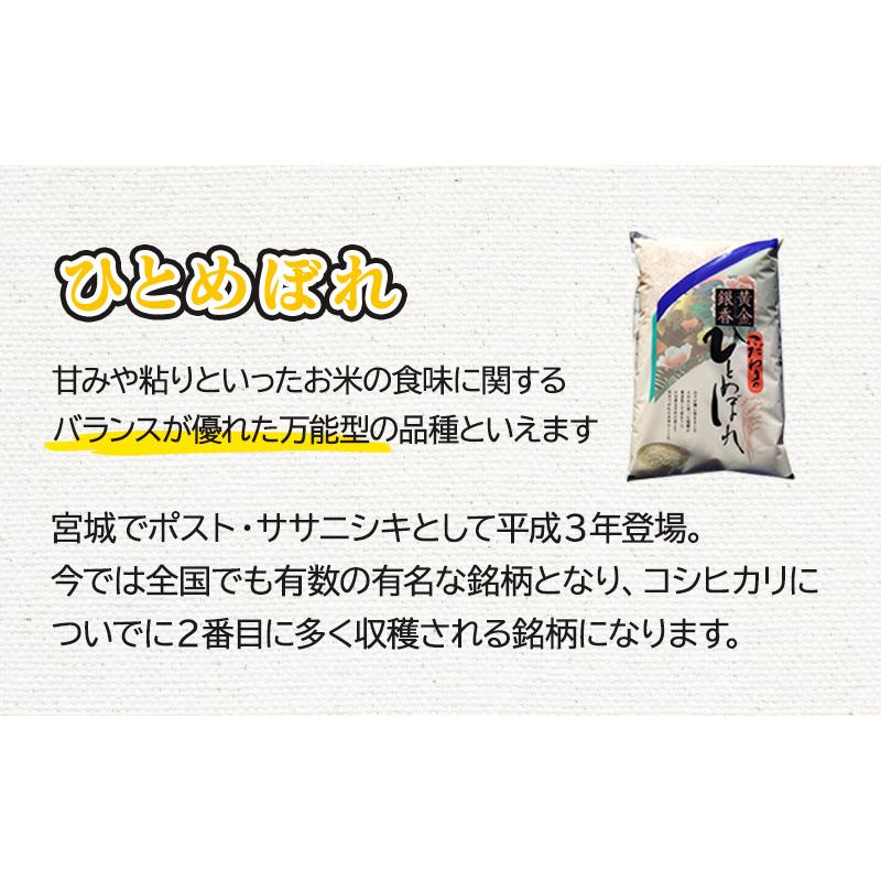 ひとめぼれ 令和7年産 岩手県産ひとめぼれ 5kg お米 白米 米 精米 送料