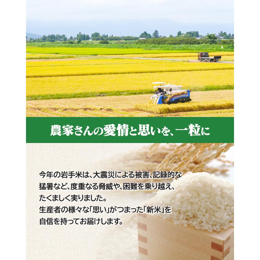 ひとめぼれ 令和7年産 岩手県産ひとめぼれ 5kg お米 白米 米 精米 送料