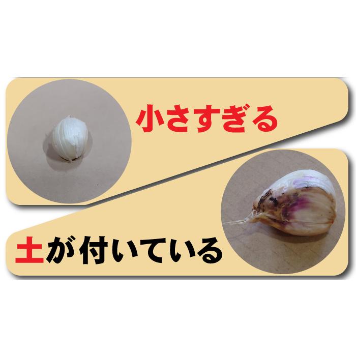 訳あり にんにく 粒不揃い 青森県産にんにく ホワイト六片にんにく