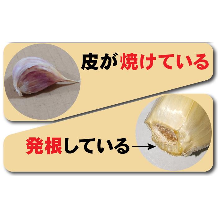 訳あり にんにく 粒不揃い 青森県産にんにく ホワイト六片にんにく
