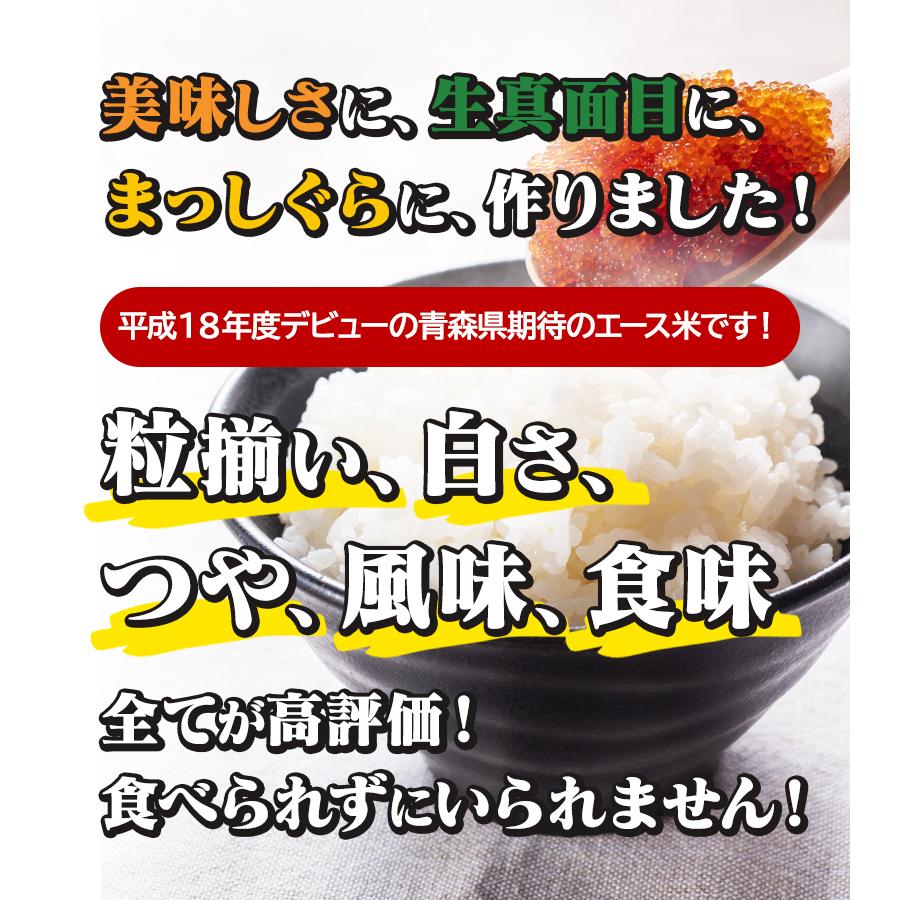 令和6年産(白米)青森県産まっしぐら 10kg お米 精米 送料無料 令和6年産(白米)青森県産まっしぐら 10kg お米 精米 送料無料