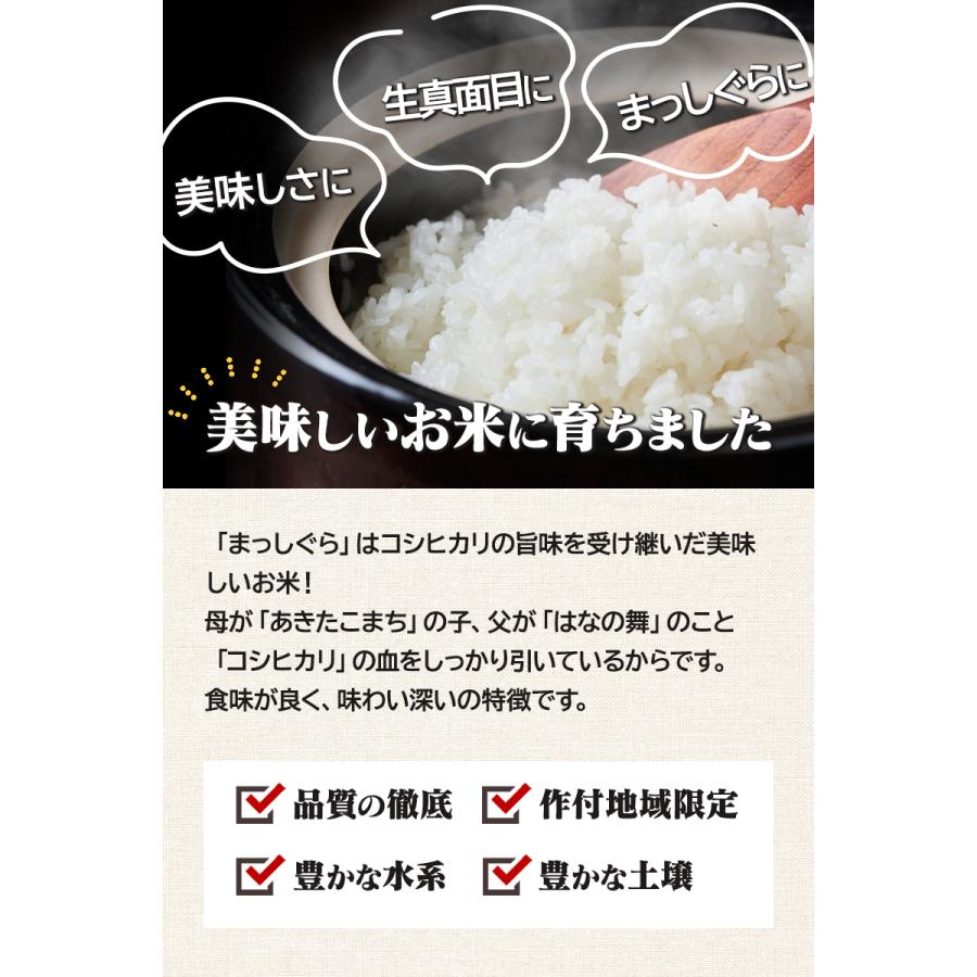 令和6年産(白米)青森県産まっしぐら 10kg お米 精米 送料無料 令和6年産(白米)青森県産まっしぐら 10kg お米 精米 送料無料