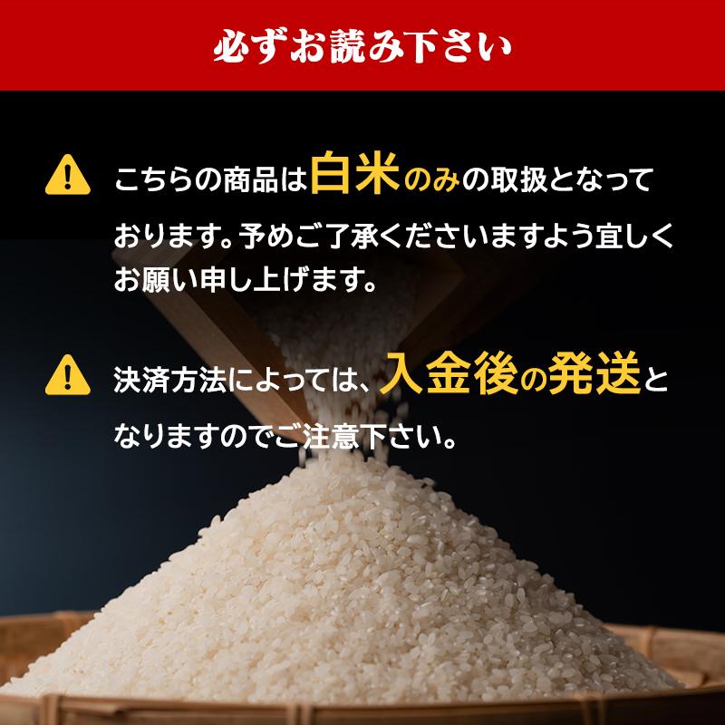 令和6年産(白米)青森県産まっしぐら 10kg お米 精米 送料無料 令和6年産(白米)青森県産まっしぐら 10kg お米 精米 送料無料