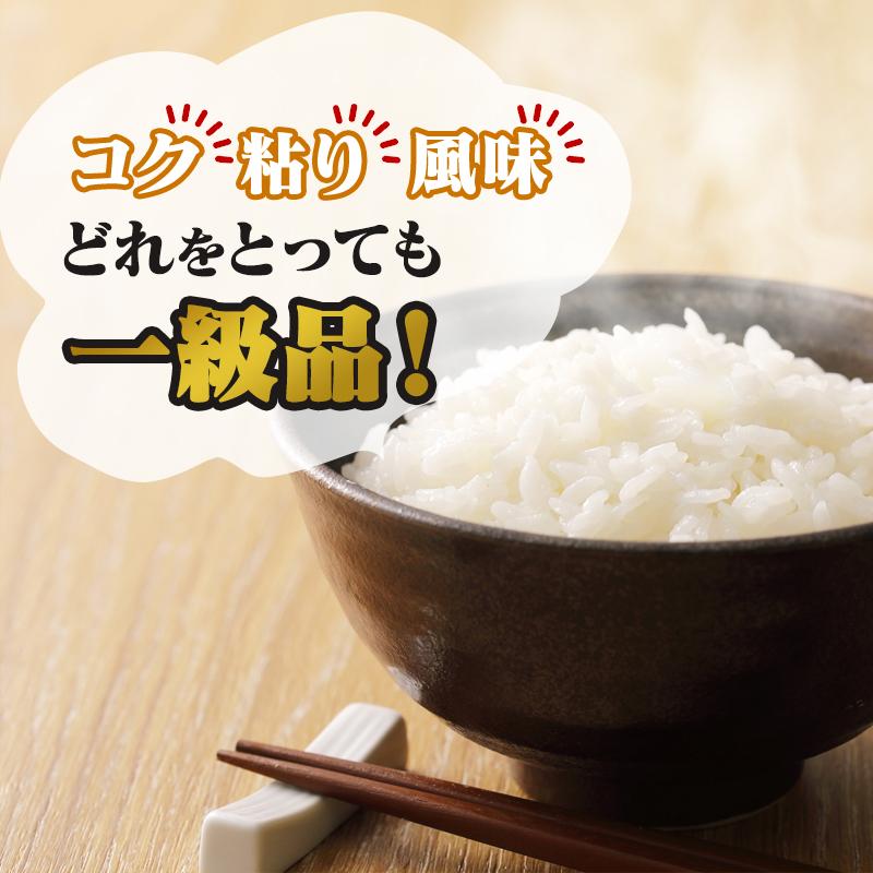 令和6年産(白米)青森県産まっしぐら 10kg お米 精米 送料無料 令和6年産(白米)青森県産まっしぐら 10kg お米 精米 送料無料