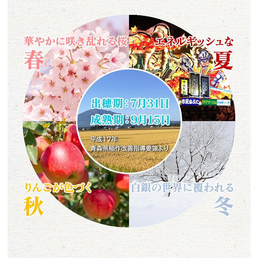 令和6年産(白米)青森県産まっしぐら 10kg お米 精米 送料無料 令和6年産(白米)青森県産まっしぐら 10kg お米 精米 送料無料