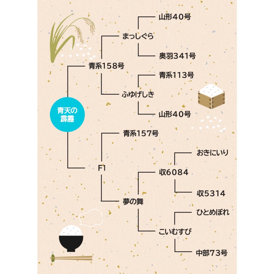 令和7年産 特A米 お米 青天の霹靂 10kg（5kgx2袋）青森県産 白米 食品