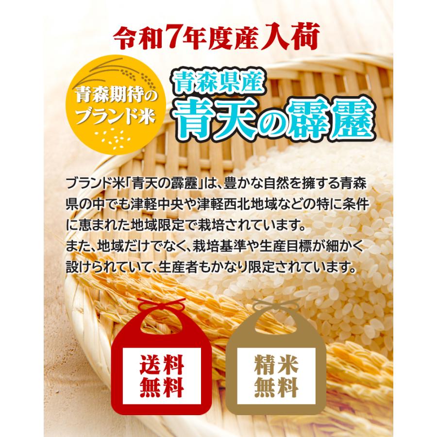令和7年産 お米 青天の霹靂 5kg 即日発送！ 青森県産 白米 食品 国産米