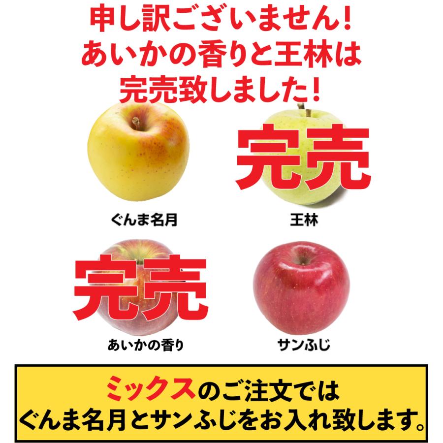 令和7年 青森県産 訳あり りんご 10kg 40玉前後 残りサンふじ ご家庭用