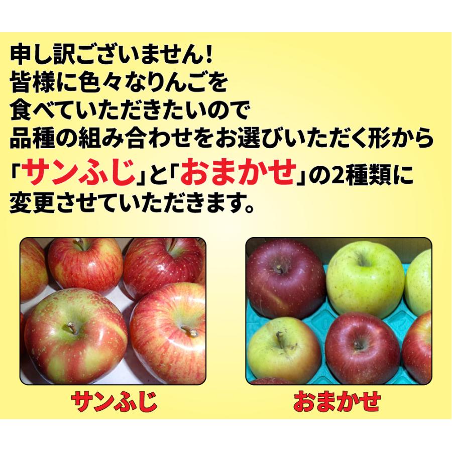 令和7年 青森県産 訳あり りんご 10kg 40玉前後 サンふじ 王林 ぐんま