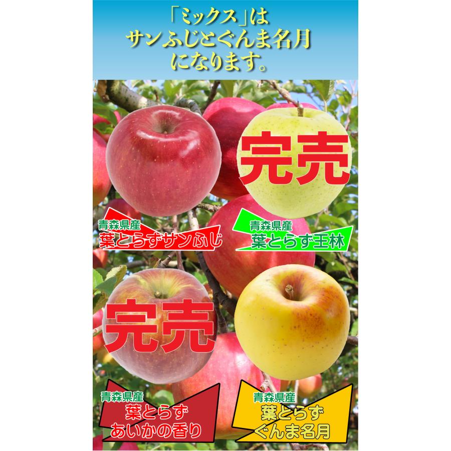 273.お買得青森県産サンフジリンゴ約10kg玉数お任せ 青森りんご「サンふじ」[超大玉]秀品 約10kg(20〜24個) 青森県南部町産