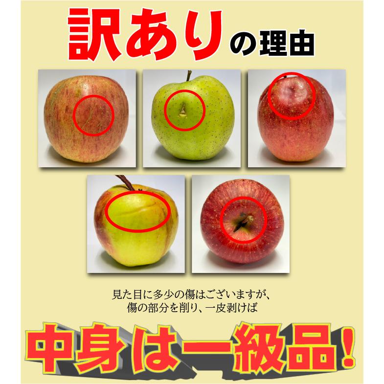 令和7年 青森県産 訳あり りんご 10kg 40玉前後 サンふじ 王林 ぐんま